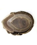 -3_0002_23094c26227d73e012323a1dbef01d1